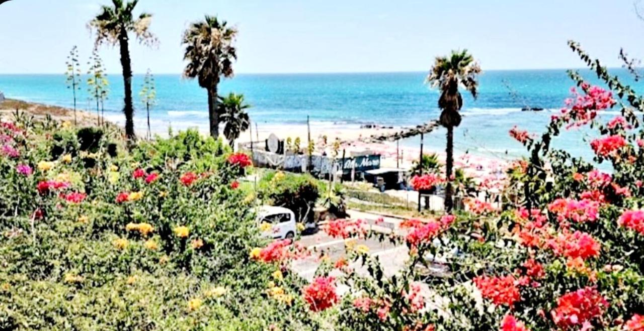 612 Apartment On The Beach Bat Yam Εξωτερικό φωτογραφία