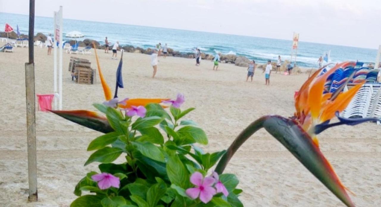 612 Apartment On The Beach Bat Yam Εξωτερικό φωτογραφία